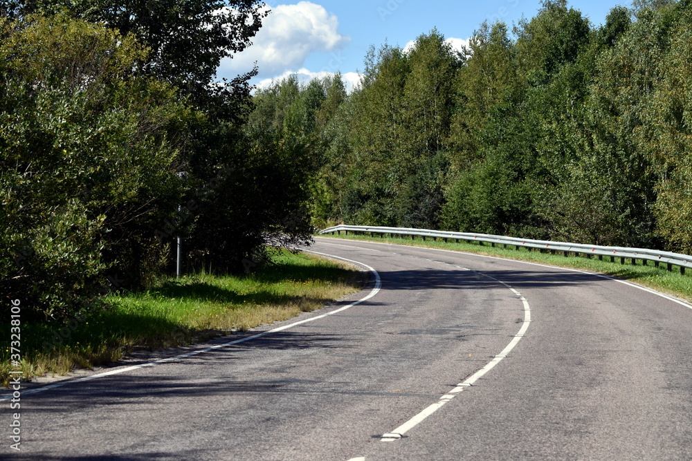 road in the woods