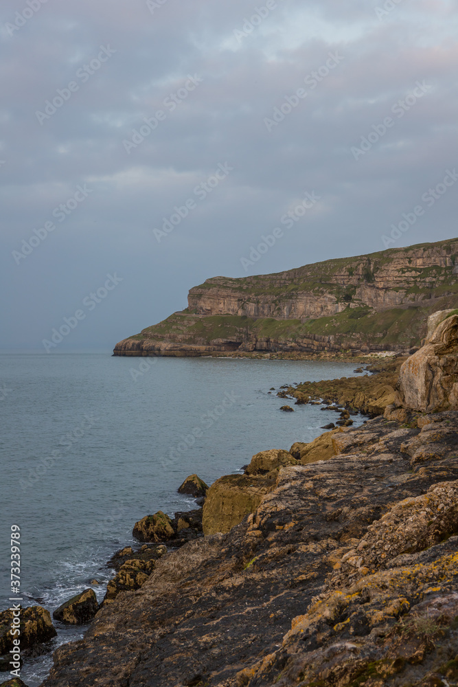Rocky coastline at Llandudno, North Wales. View of the Great Orme and seaweed covered rocks