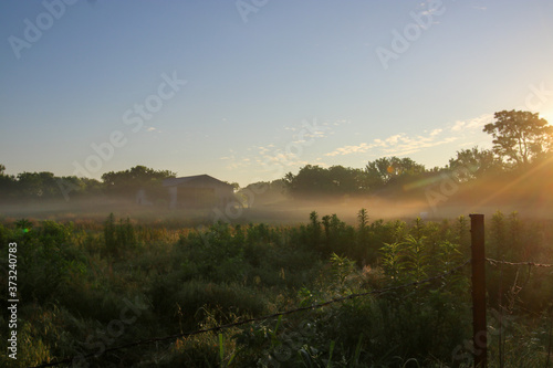 A foggy morning on the far.