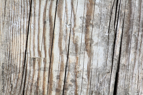 Wallpaper Mural Decrepit medieval beaten backdrop. Coating of coarse split spotted battered background. Old rotten destroyed texture bar. Chipped flaked surface plank, dirty decking material. Torontodigital.ca