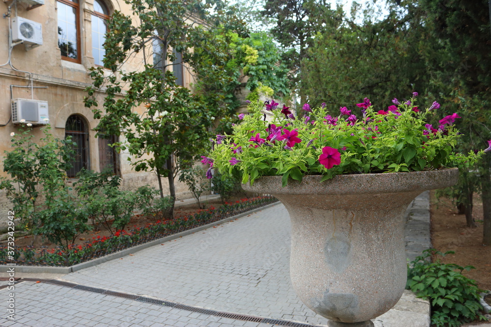 Chersonesos. Courtyard in the Italian style. Crimea Chersonesos. Courtyard in the Italian style. Crimea
