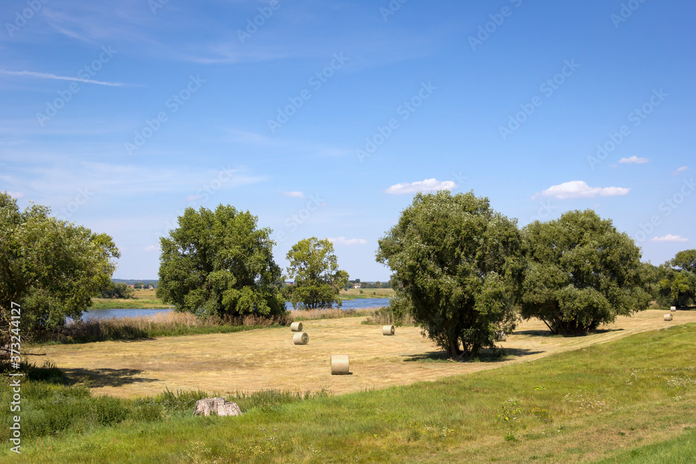 Landscape near the Elbe River and Magedburg. Magdeburg is defined by untouched nature.