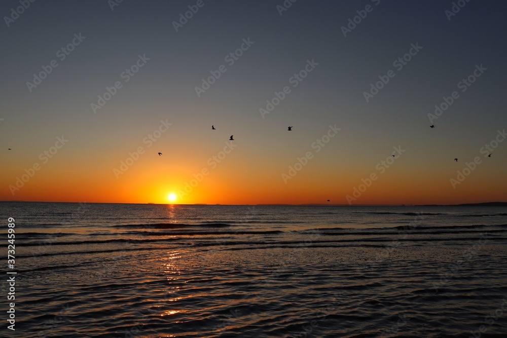 Sunrise with birds Sunrise with birds