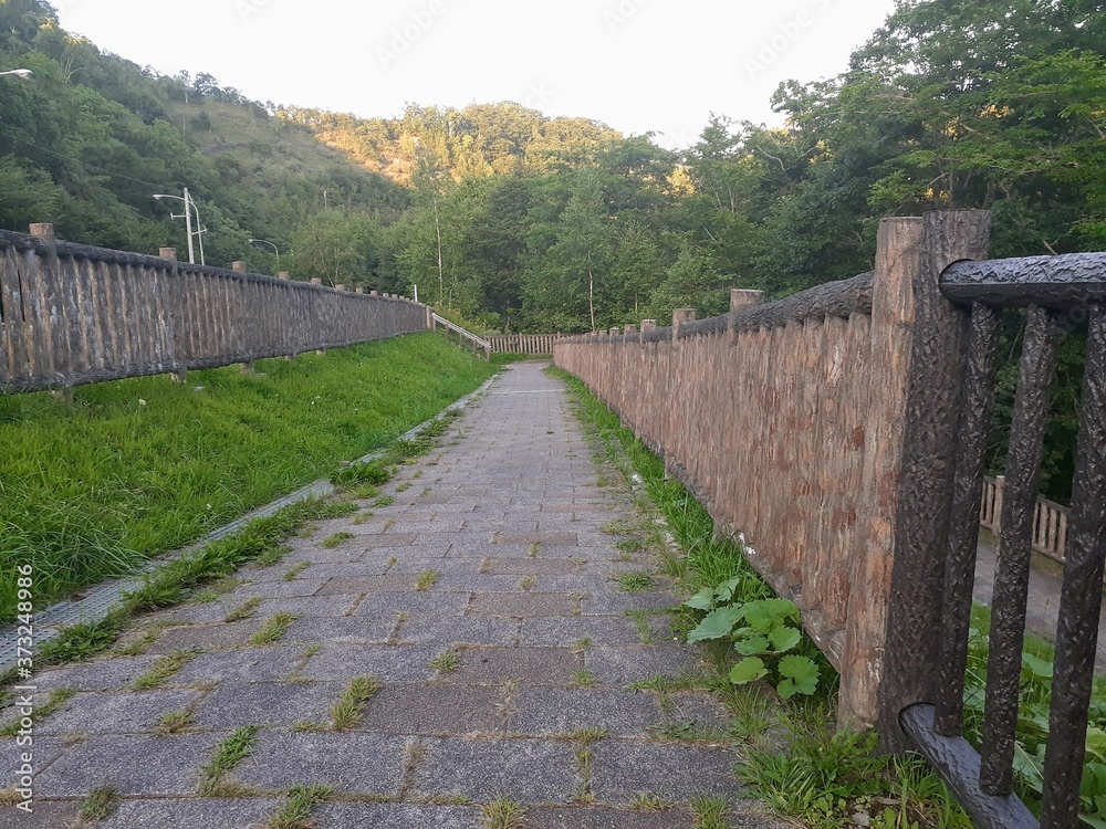 北海道恵庭白扇滝の遊歩道