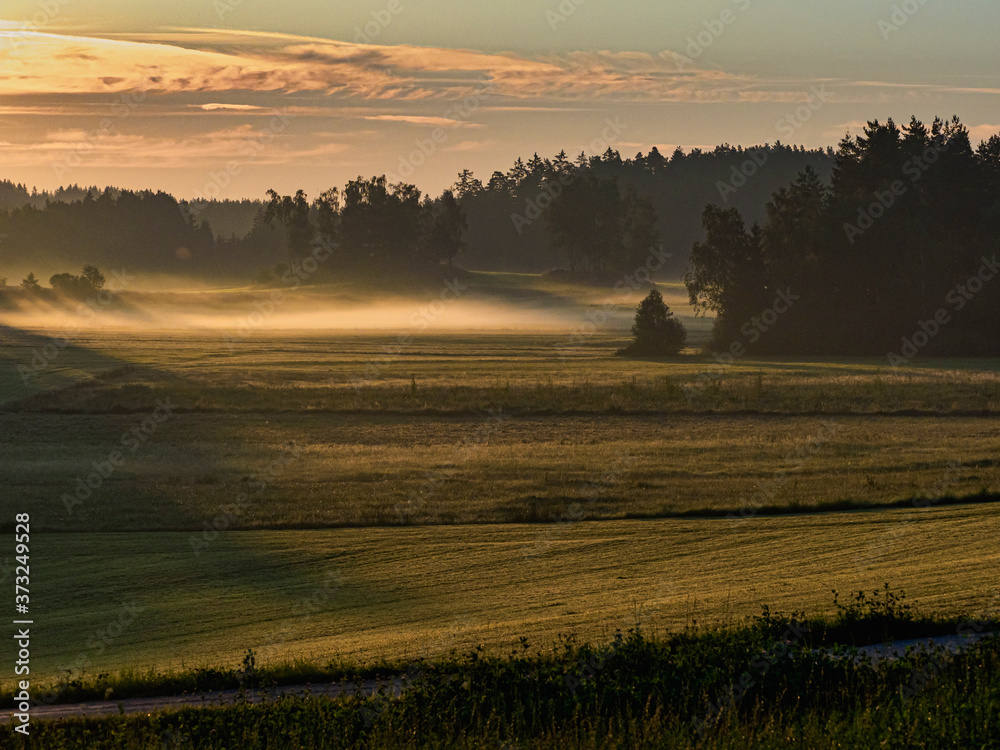 Fototapeta premium Morgennebel im Waldviertel Rappottenstein Niederösterreich Österreich