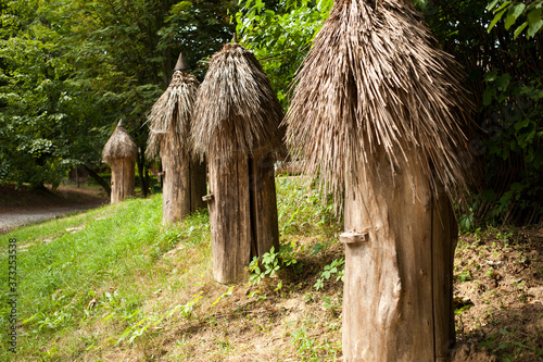 Authentic beehive made of logs. The old apiary photo