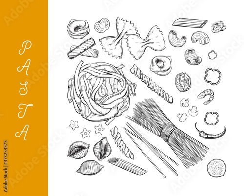 Italian vector Pasta set. Different types of pasta. Hand drawn illustration. Isolated objects on white. Sketch style