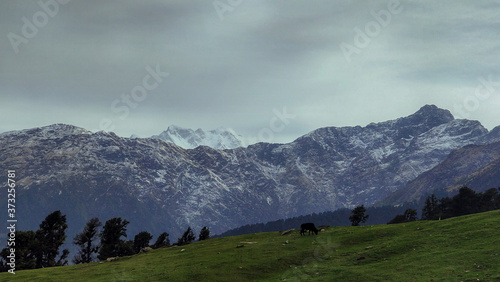 Green meadow and glacial mountain landscape