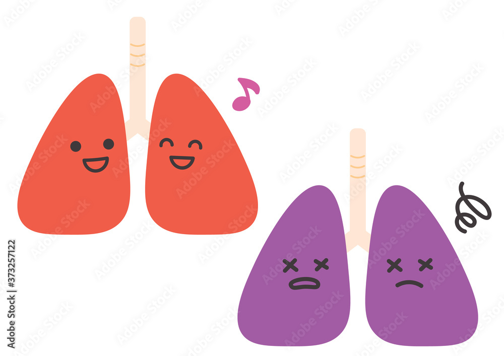 健康な肺と不健康な肺のイラスト 健康な肺と不健康な肺のイラスト