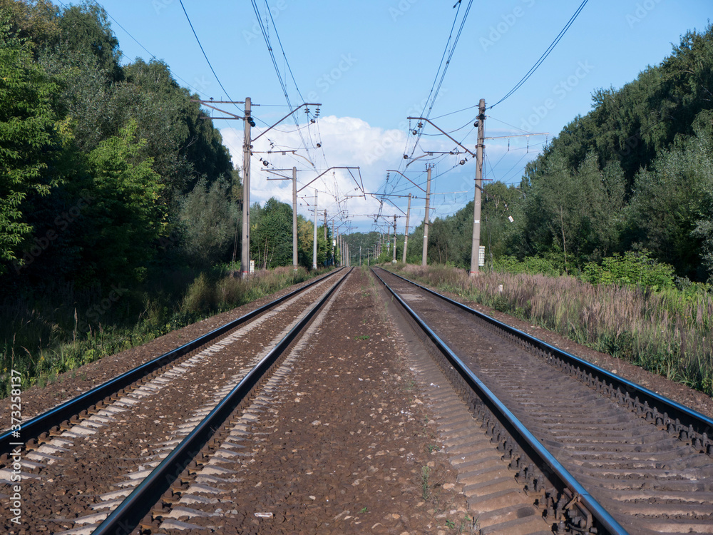 Straight shiny steel railroad track surrounded with green trees and plants