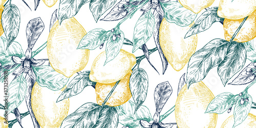 Vector seamless pattern with hand drawn fresh lemon tree branches, fruits and flowers in sketch style. © natality