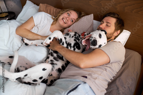 married caucasian couple have fun with dog at home on bed, they laugh, hug their beautiful dalmatian dog