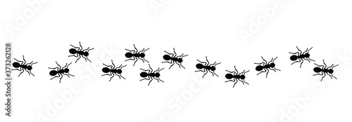 Insect, worker ants marching in search of food sign. Ants crawling, walking in a group or line. Vector seamless pattern of ants. Funny silhouette pictogram. Follow emmet pismire insects banner.