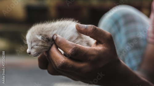 A beautyful kitten in a boys hand.