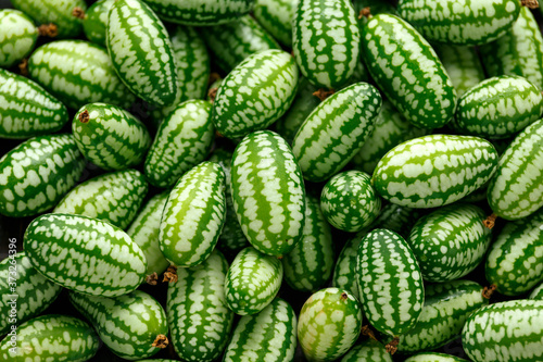 Fresh green Cucamelon background, texture. Top view photo