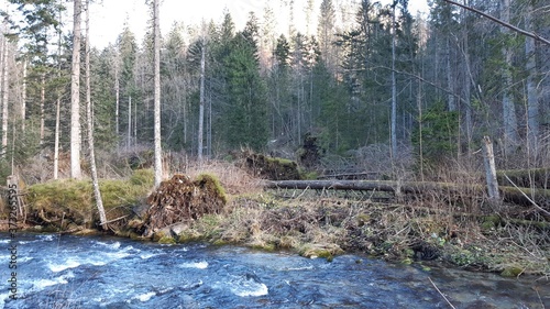 Piękna natura