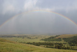 A rainbow in Yellowstone National Park.