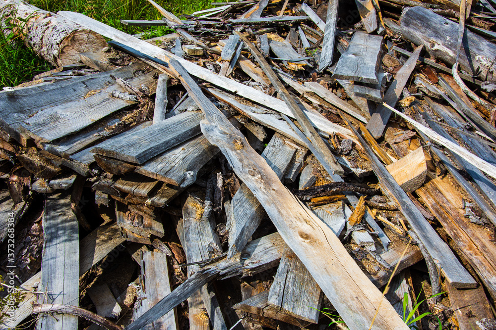 Forest pines and spruces. Piles of logs, logging woodworking industry. Wide constriction or panorama of wooden trunks. Stack of logs at a sawmill in rural areas Forest pines and spruces. Piles of logs, logging woodworking industry. Wide constriction or panorama of wooden trunks. Stack of logs at a sawmill in rural areas