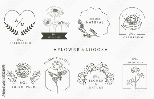 Beauty occult logo collection with geometric,rose,moon,star,flower.Vector illustration for icon,logo,sticker,printable and tattoo