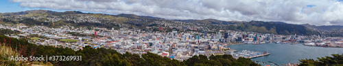 Wellington Skyline in New Zealand © FiledIMAGE