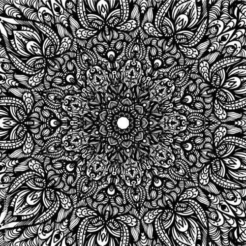 highly detailed vector art ornamental mandala background