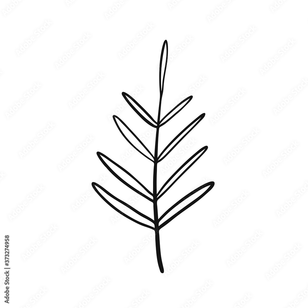 Leaf illustration in doodle style. Vector icon isolated on white background