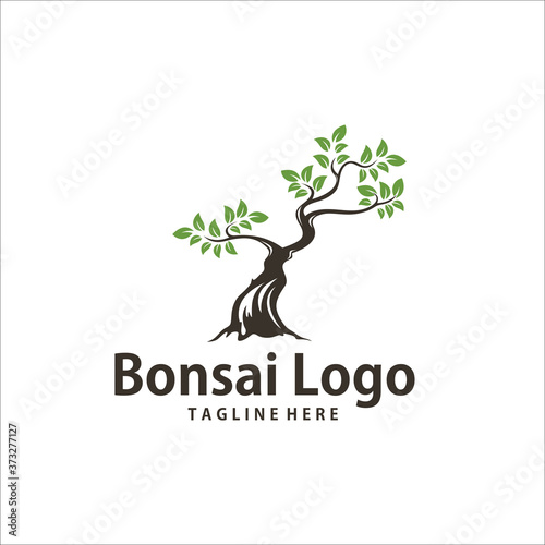 bonsai logo design template silhouette vector icon