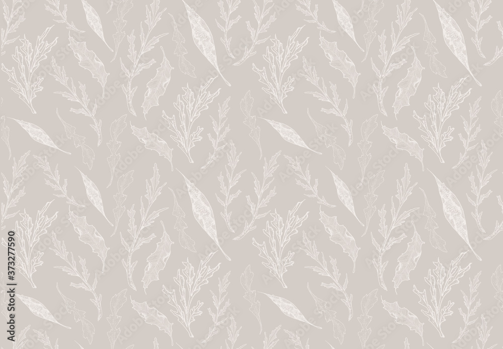 Paper texture background, real cardboard pattern Paper texture background, real cardboard pattern
