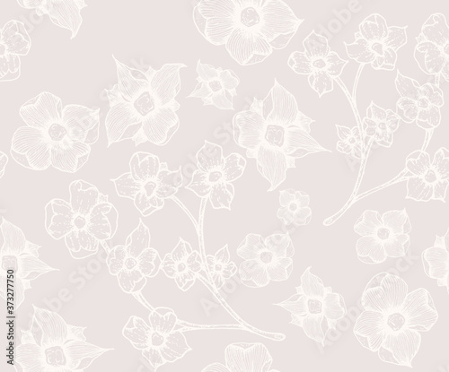 Paper texture background, real cardboard pattern