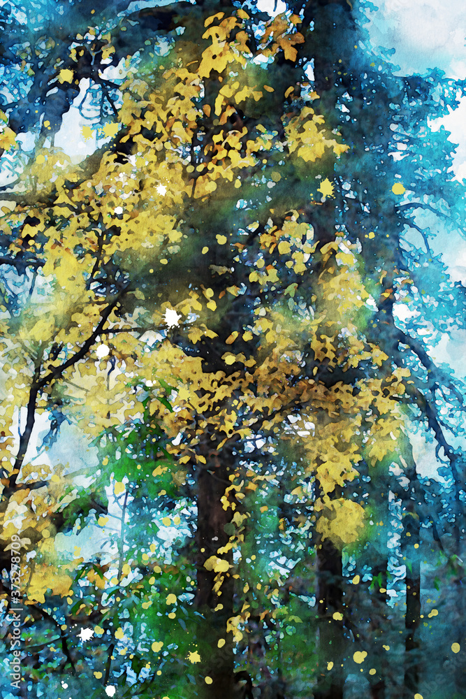 Trees in autumn with yellow leaves, fall season image, digital watercolor painting Trees in autumn with yellow leaves, fall season image, digital watercolor painting