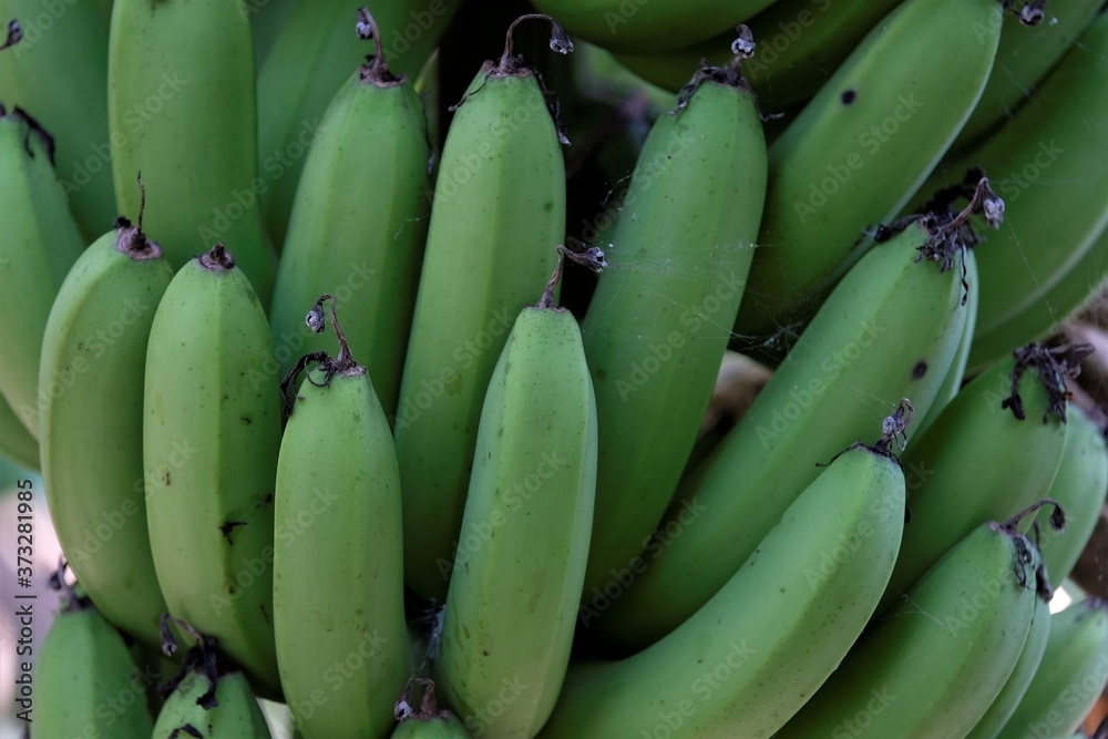 Photo of a banana fruits
