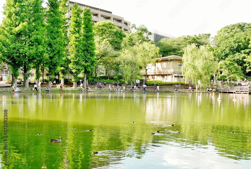 池のある公園