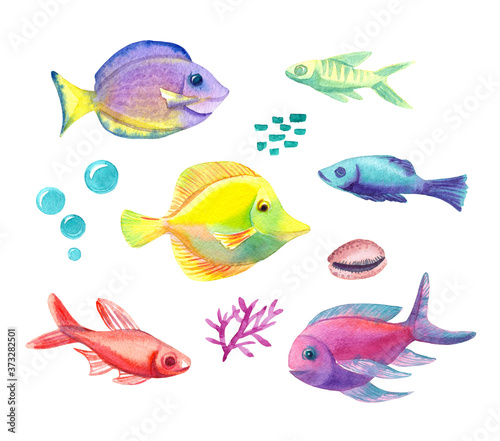 watercolor fishes collection, set of different spieces of tropical fish