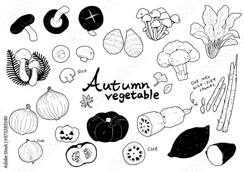 Autumn vegetables set black and white.
