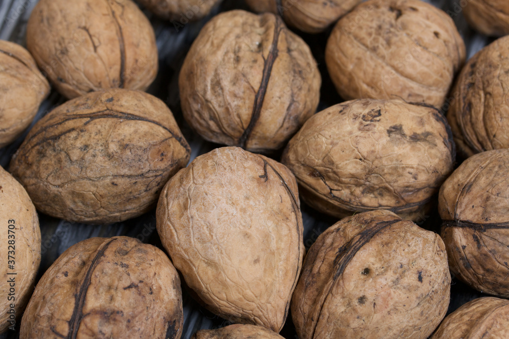 Walnuts. Scattered on painted pine board surfaces. Walnuts. Scattered on painted pine board surfaces.