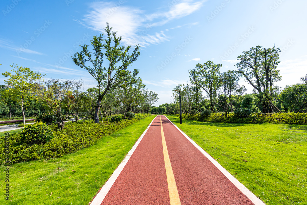 Obraz premium road in park