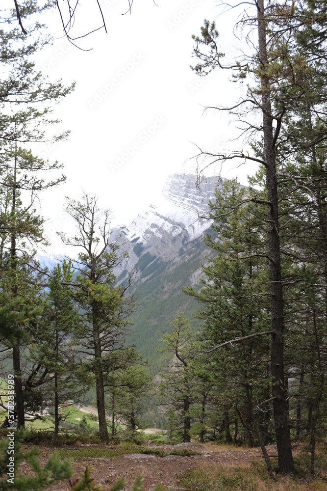 View from Tunnel Mountain trail Banff View from Tunnel Mountain trail Banff