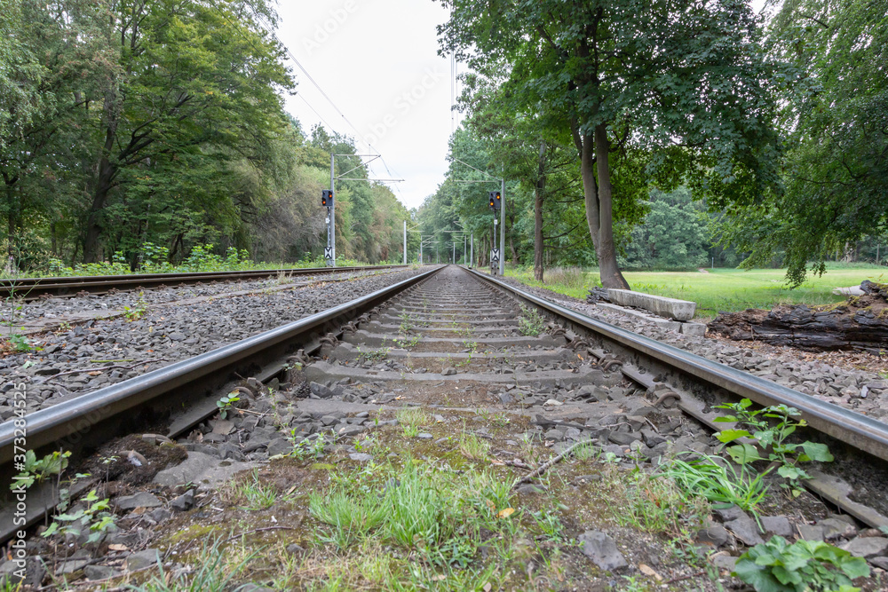 railroad tracks in a countryside surroundes by trees and meadows, signal shows red railroad tracks in a countryside surroundes by trees and meadows, signal shows red