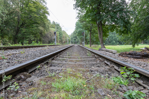 railroad tracks in a countryside surroundes by trees and meadows, signal shows red