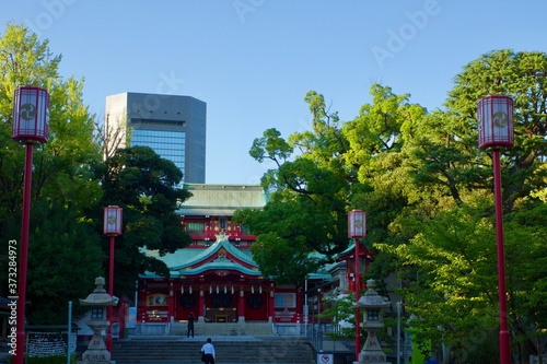 富岡八幡宮　八幡さまと森と参道 photo