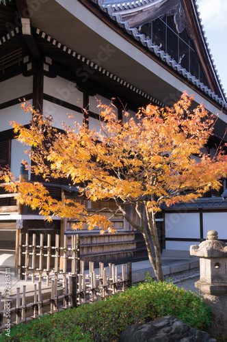 Autumn leaves at Shoukokuji Temple, Imadegawa-dori, Kamigyo-ku, Kyoto-shi, Kyoto Prefecture. photo