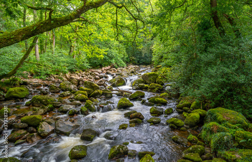 The River Plym on Dartmoor flowing past Dewerstone on towards Plymouth in Devon UK.