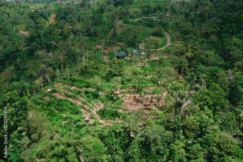 Photograph of a tropical mountain with green palm trees and a road photo