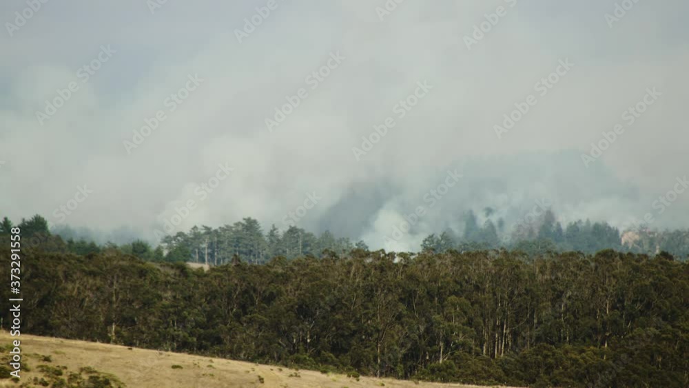 CZU Lightning Complex Fire. Close up shot of smoke billowing from a hillside on fire near Santa Cruz, California. 4K, UHD. CZU Lightning Complex Fire. Close up shot of smoke billowing from a hillside on fire near Santa Cruz, California. 4K, UHD.