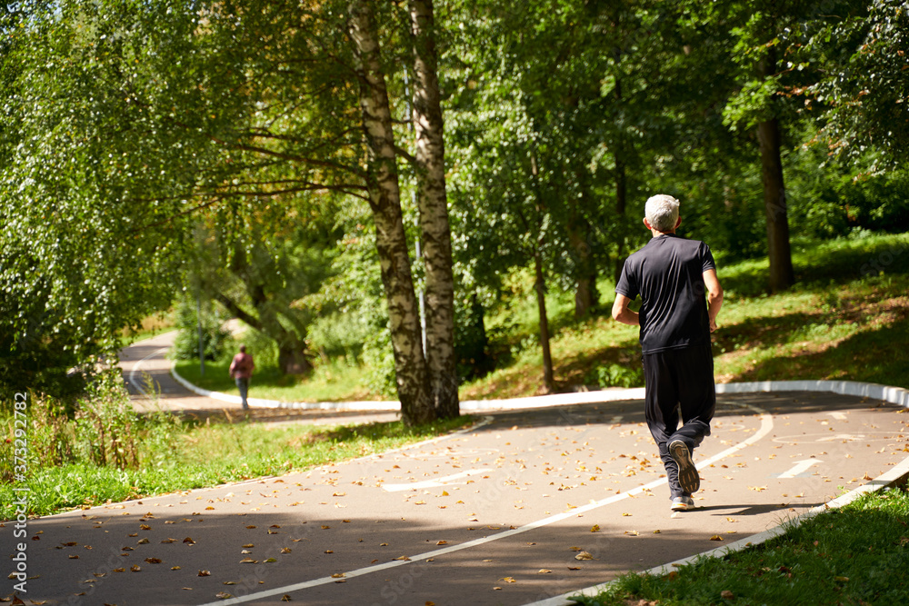 walking along the paths of the Park and falling leaves walking along the paths of the Park and falling leaves