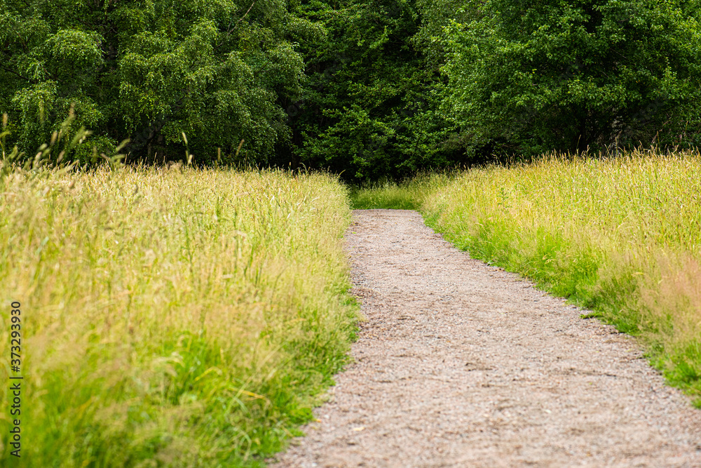 Obraz premium Gravel path going through a grass field.