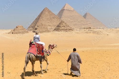 Camel rides in Giza Pyramids in Cairo - Egypt