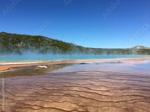 Emerald Spring