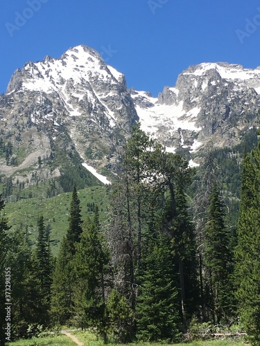 Snowy Mountain View