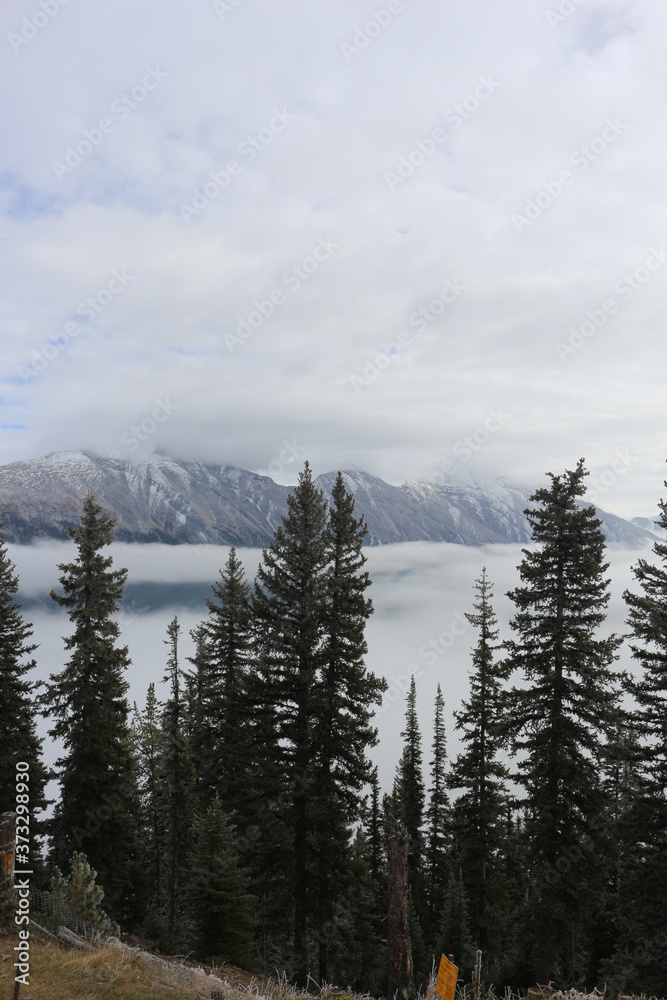 Views from Sulphur Mountain Banff Views from Sulphur Mountain Banff
